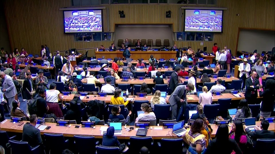 (4th meeting) UN Permanent Forum on Indigenous Issues, 24th session