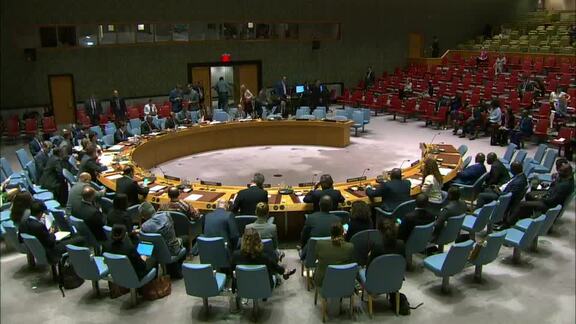 8585th Security Council Meeting: Peace Consolidation in West Africa