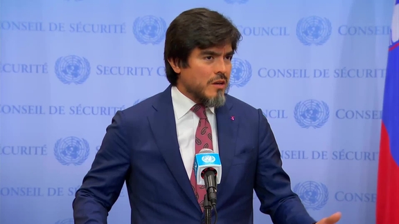 José Javier De La Gasca (Ecuador) on the situation in Venezuela - Security Council Media Stakeout