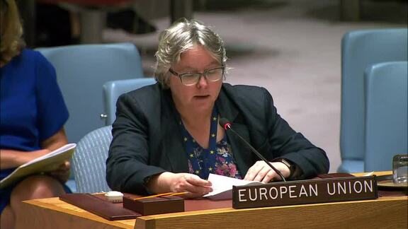 8334th Security Council Meeting: Maintenance of International Peace and Security Part 3