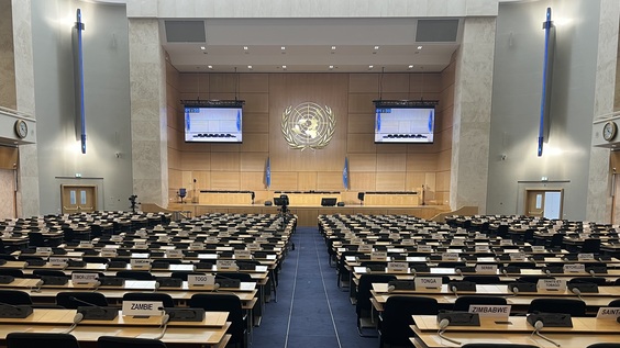 3rd Plenary Meeting
