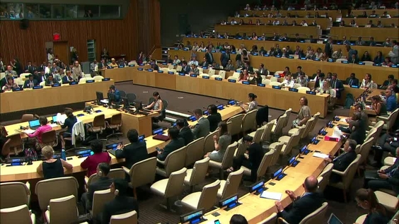 António Guterres (Secrétaire général de l&#039;ONU) au Conseil économique et social concernant le repositionnement du système de développement des Nations Unies en vue de l&#039;agenda 2030