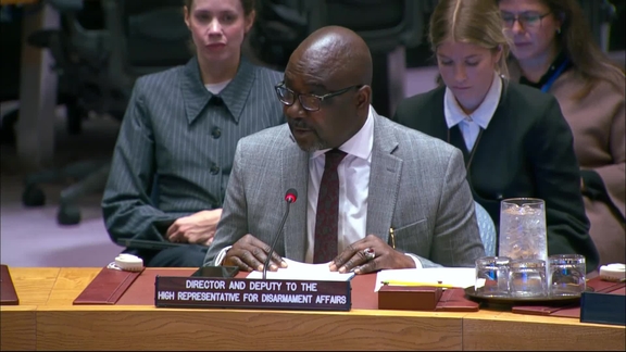 Small Arms - Security Council, 10037th meeting