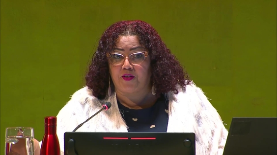 General Assembly: 60th plenary meeting, 80th session