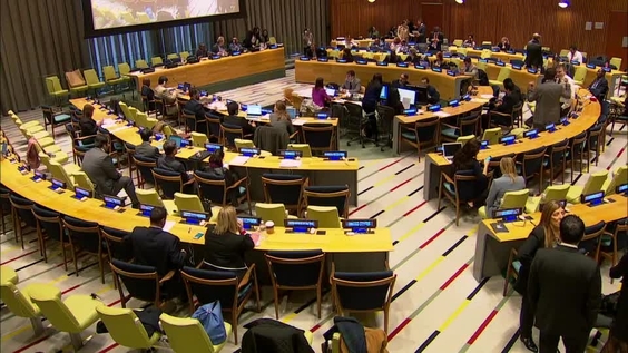 Sixth Committee, 33rd meeting - General Assembly, 73rd session 