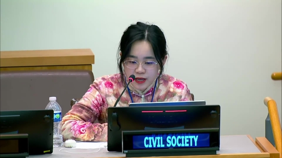 (12th plenary meeting) Committee on Non-Governmental Organizations, 2024 regular session, Economic and Social Council