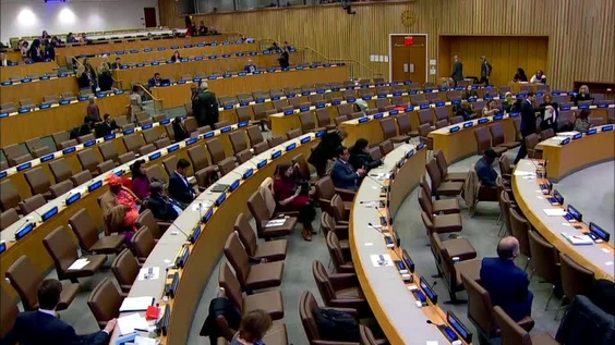 (7th plenary) 52nd session of the Commission on Population and Development (1 - 5 April 2019)