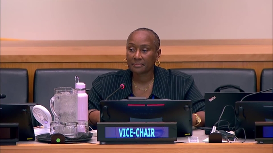 (6th meeting) 25th session of the Committee of Experts on Public Administration - Economic and Social Council