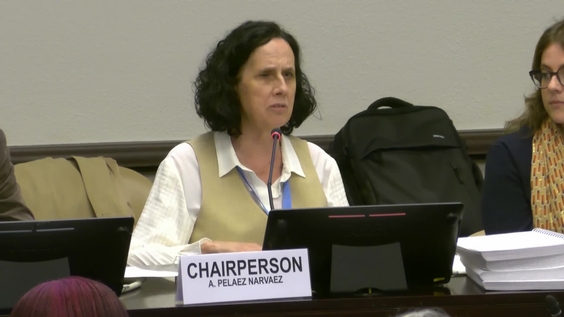 2082nd Meeting, 88th Session, Committee on the Elimination of Discrimination against Women (CEDAW)