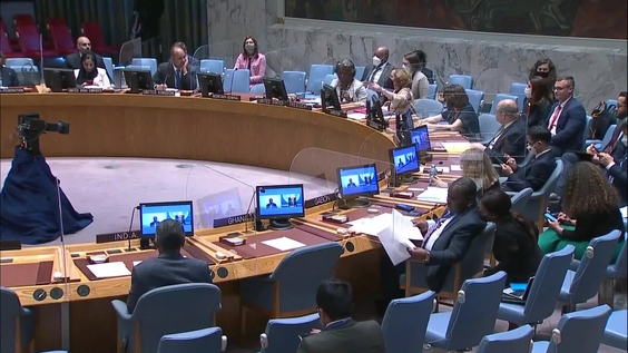 The situation in Somalia - Security Council, 9040th meeting