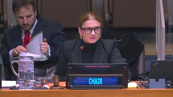 4th plenary meeting - 64th Session of the Commission for Social Development (CSocD64)