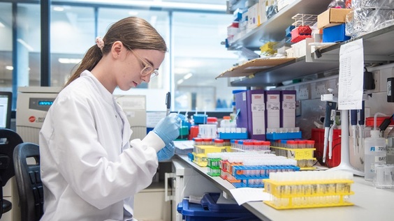 6th International Day of Women and Girls in Science Assembly - Beyond the Borders: Equality in Science for Society