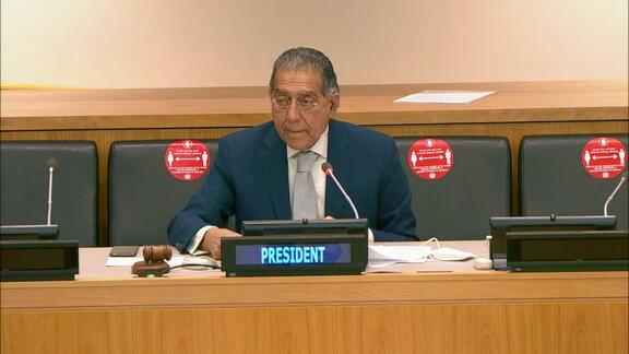 4th Plenary Meeting - Economic and Social Council 2021 Session