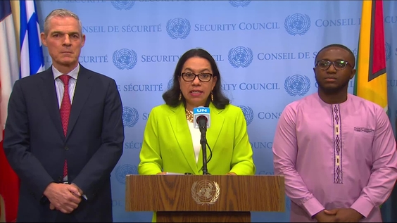 Democratic Republic of Congo - Joint Security Council Media Stakeout