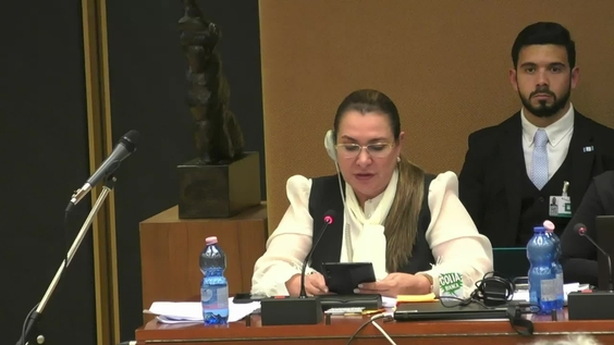 2008th Meeting, 86th Session, Committee on the Elimination of Discrimination against Women (CEDAW)