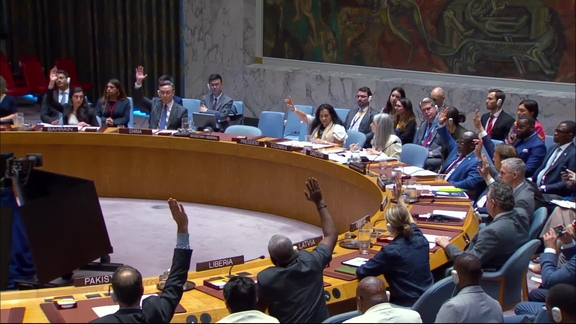 The situation concerning the Democratic Republic of the Congo - Security Council, 10188th meeting
