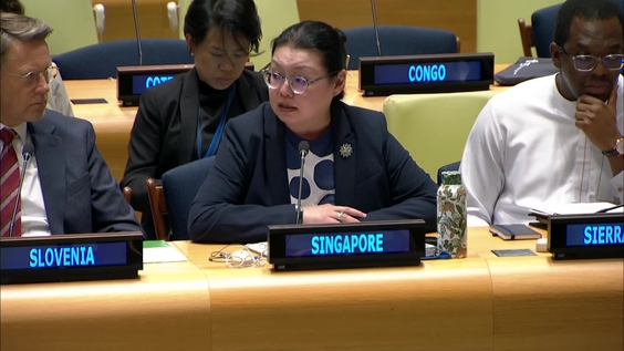 The UN Charter at Eighty: Safeguarding and Strengthening the United Nations and the Multilateral System – Informal Dialogue