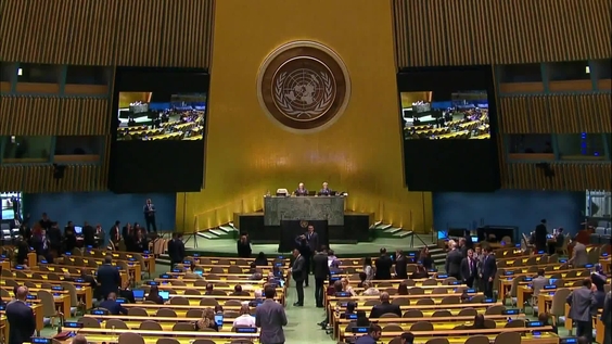 General Assembly: 80th Plenary Meeting, 77th Session