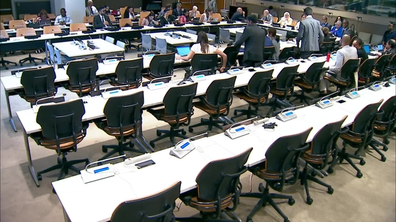 High-level Policy Dialogue: From Marrakech to Belem – Global South's Role and Experience in Shaping the Climate Agenda