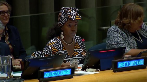 SDG Action Segment for Goal 3 & 5 - ECOSOC Partnership Forum, 2025 session