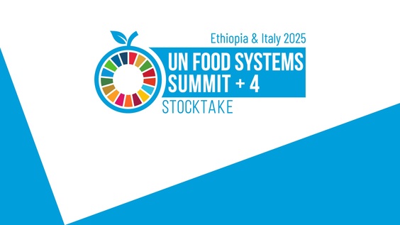 UN Food Systems Summit +4 Stocktake (UNFSS+4) | Ministerial Roundtable: Public finance