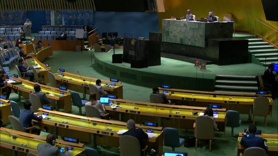 General Assembly: 1) 65th plenary meeting, 74th session. 2) Organization of session