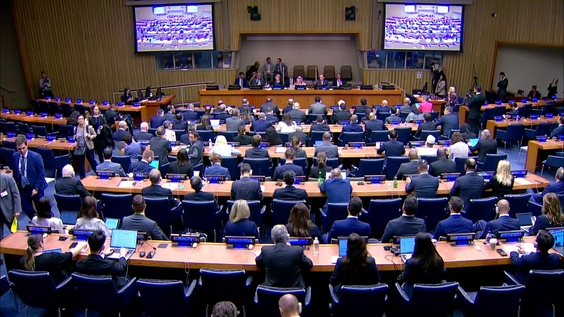 High-Level Ministerial Global Alliance for the Implementation of the Two-State Solution