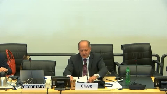 Progress Report of Special Rapporteur - 3591st Meeting 125th Session of Human Rights Committee