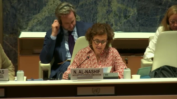 High level Discussion on UPR and Freedom of Expression - Human Rights Council