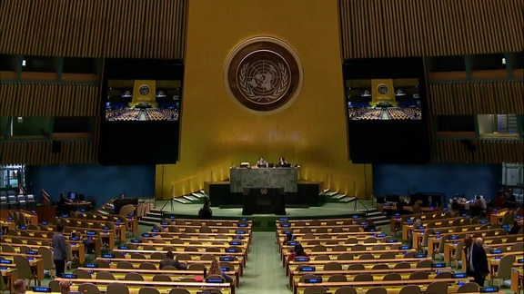 General Assembly: 82nd Plenary Meeting, 77th Session