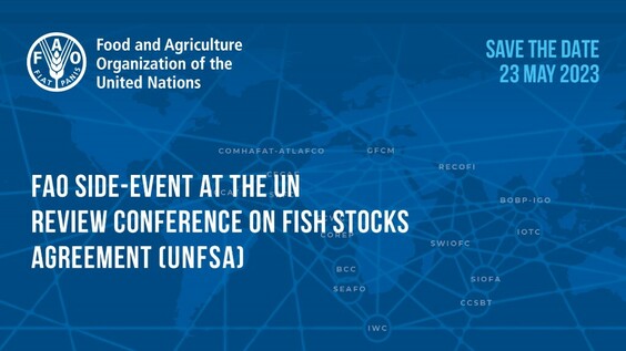 A regional framework among regional fishery bodies: scaling up cooperation and coordination towards sustainable fisheries