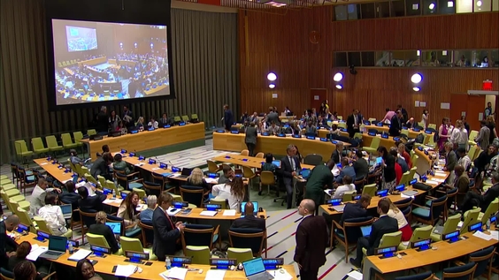 (4th meeting) Special session of the Assembly of States Parties to the Rome Statute on the review of the amendments on the crime of aggression