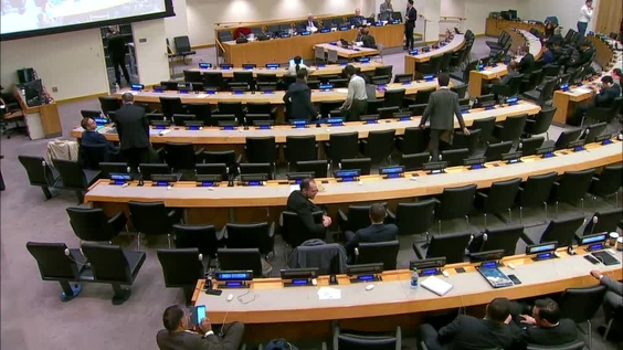 (Plenary 6) 1st Session of United Nations Group of Expert on Geographical Names