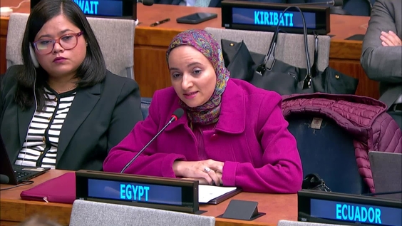 Fourth Committee, 28th plenary meeting - General Assembly, 80th session