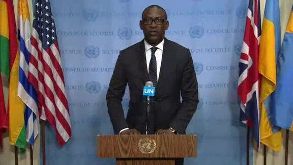 Foreign Minister of Mali Briefs Press