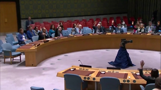 Security Council meeting: Reports of the Secretary-General on the Sudan and South Sudan - 9191st Meeting