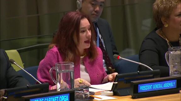 Plenary Meeting on President of General Assembly's Priorities for 2019