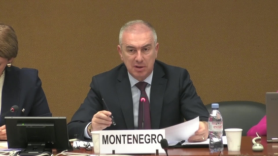 2063rd Meeting 88th Session Committee on the Elimination of