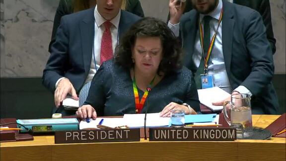 8674th Security Council Meeting: Situation in Middle East