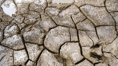 أنطونيو غوتيريش (الأمين العام للأمم المتحدة) في اليوم العالمي لمكافحة التصحر والجفاف 2026