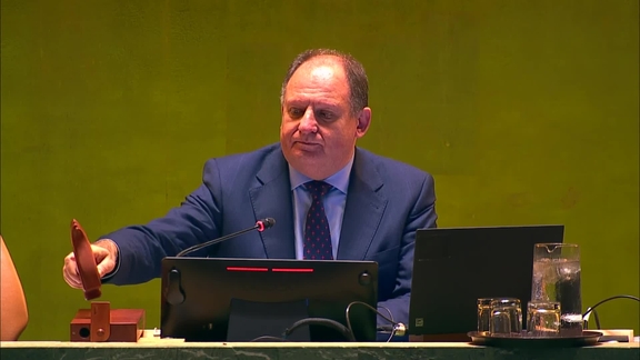 General Assembly: 61st plenary meeting, Tenth emergency special session