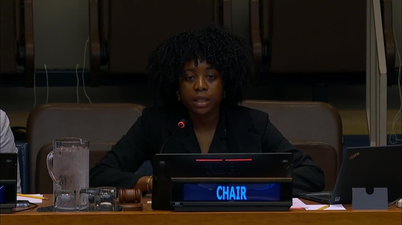 (6th meeting) 59th session of the Commission on Population and Development, CPD59