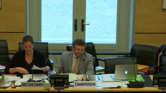 Progress Report of Special Rapporteur - 3328th meeting 118th Session of Human Rights Committee
