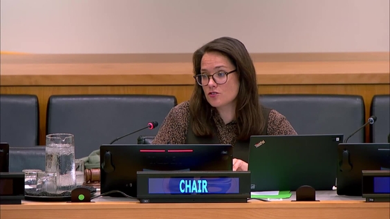 Second Committee, 14th plenary meeting - General Assembly, 80th session