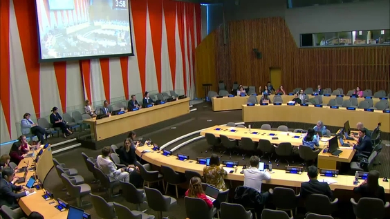 2024 ECOSOC Humanitarian Affairs Segment - Economic and Social Council, 30th plenary meeting