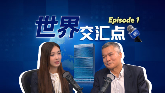 【世界交汇点】对话刘克凡——在联合国做新闻的26年