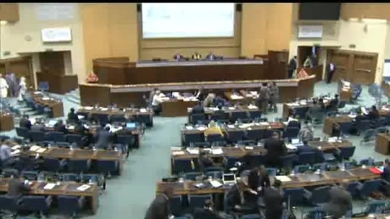 María Emma Mejía Vélez (ECOSOC), 2nd Opening Meeting