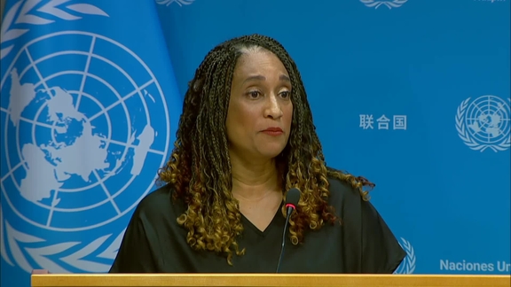 General Assembly Committees and other topics – PGA Spokesperson Briefing