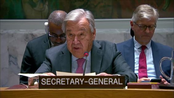 The situation in the Middle East - Security Council, 9733rd meeting