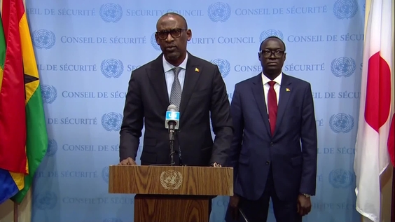 Abdoulaye Diop (Mali) on Mali - Security Council Media Stakeout